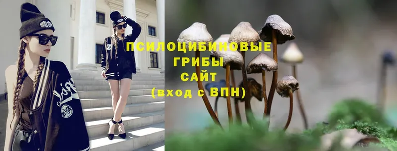 Псилоцибиновые грибы Psilocybe  хочу наркоту  Гвардейск 